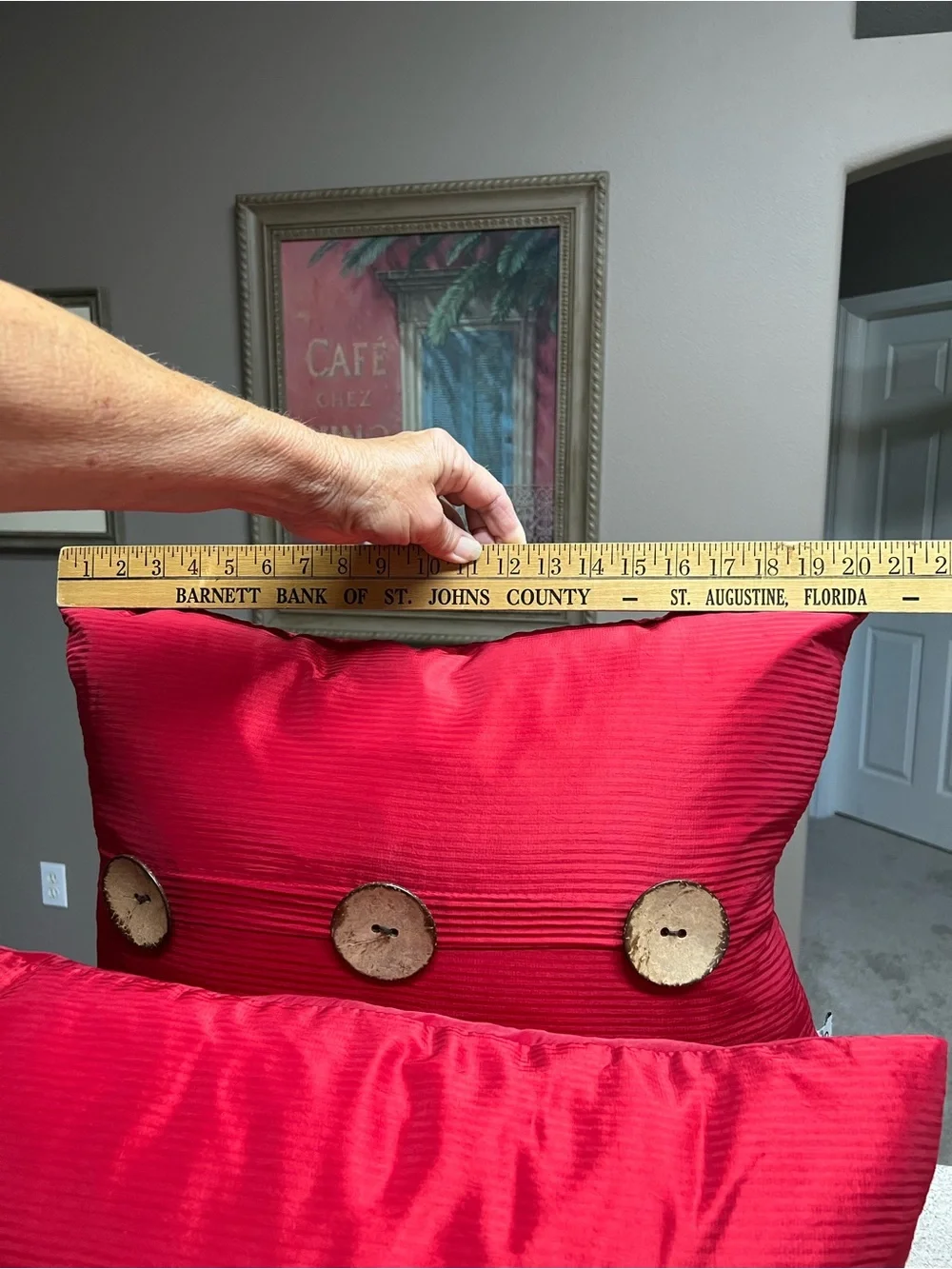 THRO by Marlo Lorenz Two Red Decorative Feather Pillows